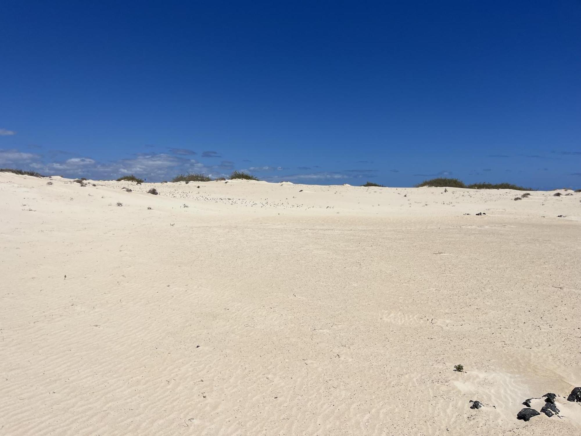 Villa Bf Paraiso De Tranquilidad Villaverde  Eksteriør bilde